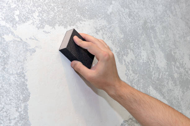 Best Asbestos and Lead Testing During Mold Inspection  in Gowanda, NY