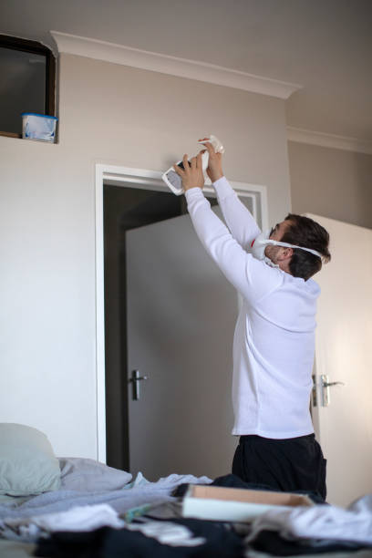 Dehumidification Services in Gowanda, NY