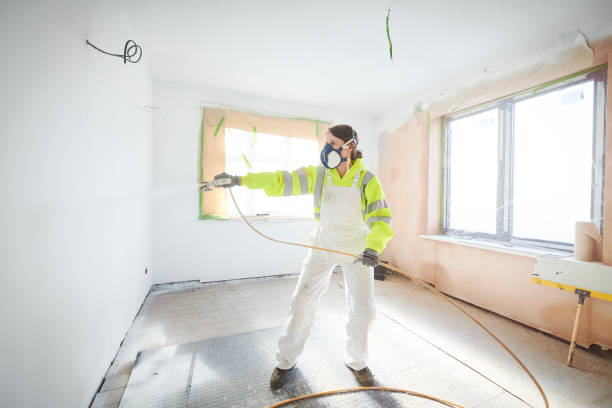  Gowanda, NY Mold Removal Pros