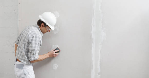 Best Basement Mold Removal  in Gowanda, NY
