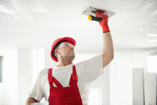 Best Crawl Space Mold Remediation  in Gowanda, NY