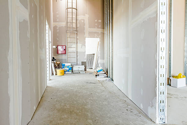 Best Water Damage & Mold Remediation  in Gowanda, NY