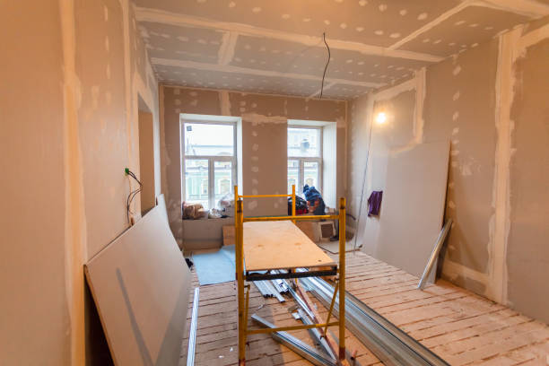 Professional Mold Removal in Gowanda, NY